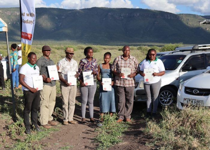 Untitled design best 2